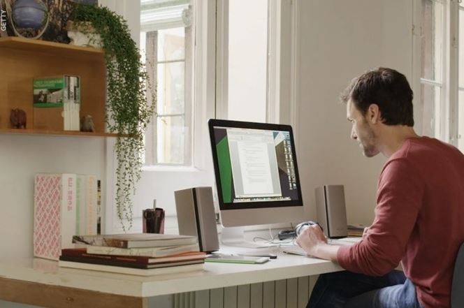 Manfaat Menanam Kaktus Didalam Diruangan