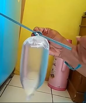 6 Cara Mudah Dan Tepat Mengusir Lalat Dari Rumah