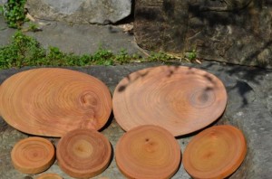 kayu kamper furniture