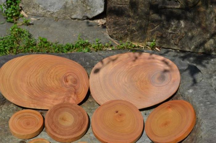 Mengenal Kayu Kamper Karakteristik Kelebihan Dan Kekurangannya